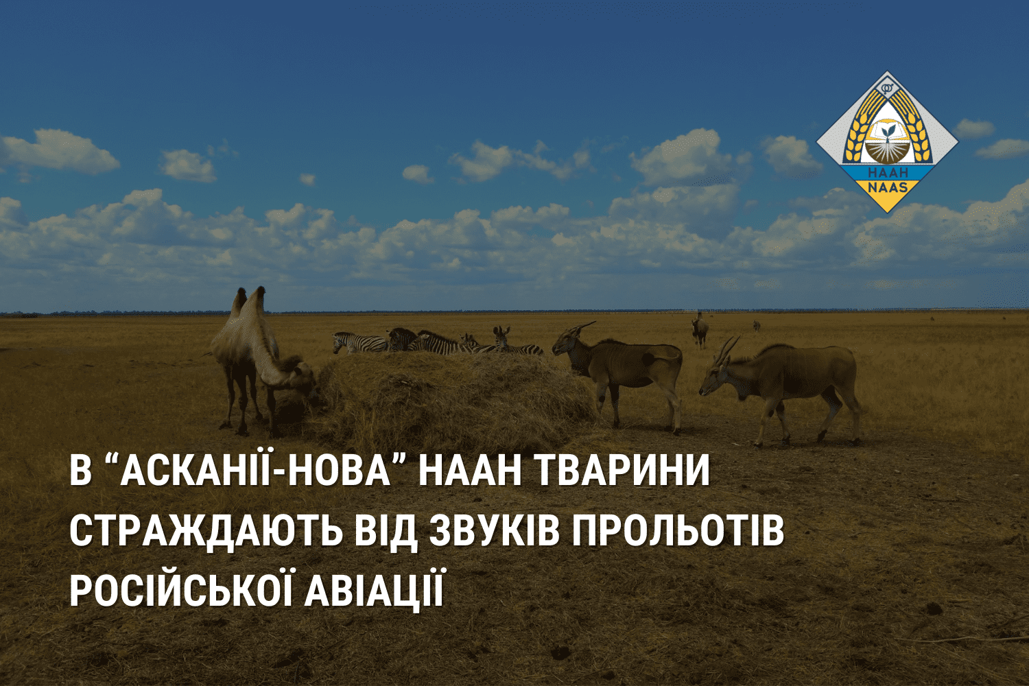 У біосферному заповіднику “Асканія-Нова” НААН тварини страждають від звуків прольотів російської авіації